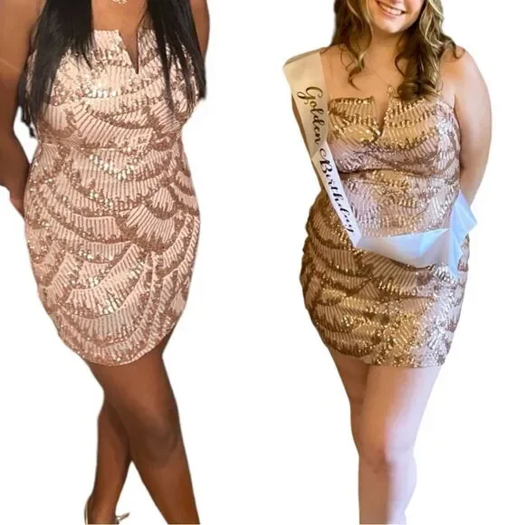 Emerald Sundae Gold Beige V-Wire Sequined Bodycon Dress Size Large - Picture 3 of 15